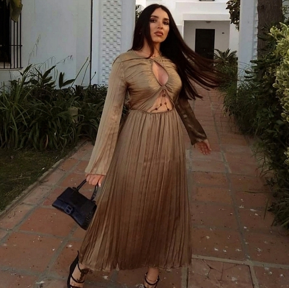 Zara Dress